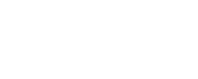 ZenDog Essentials